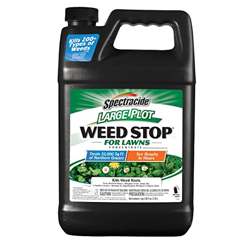 Spectracide Weed Stop for Lawns Concentrate