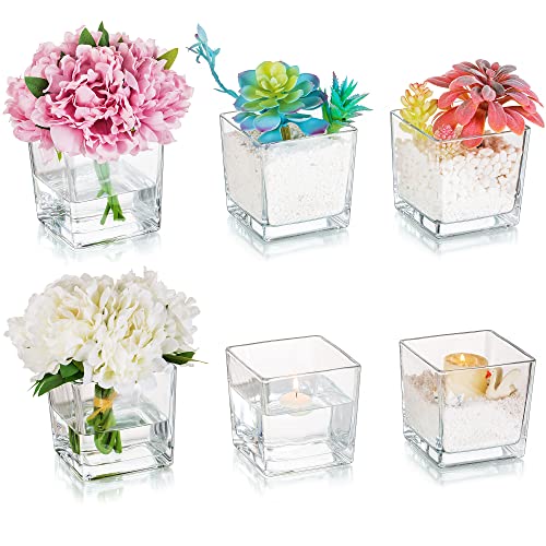 Square Glass Vases Set of 6