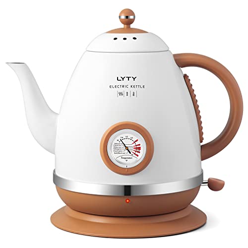 Stainless Steel Electric Kettle with Thermometer