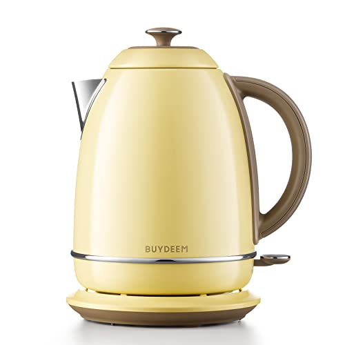 Stainless Steel Electric Tea Kettle with Auto Shut-Off and Boil Dry Protection