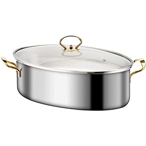 Stainless Steel Fish Steamer & Pot - Double Layer