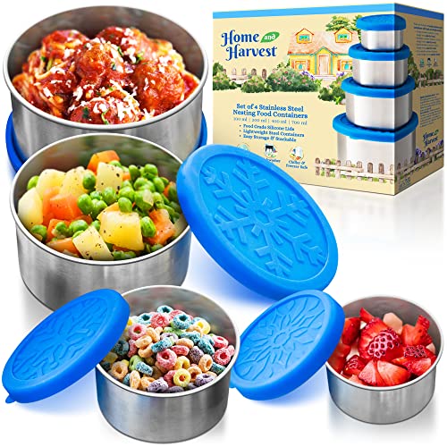 14 Amazing Stainless Steel Lunch Box For Kids for 2023