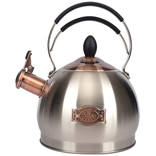 Stainless Steel Whistling Tea Kettle for Stovetop Induction Stove