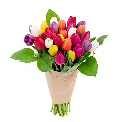 Stargazer Barn Rainbow Bouquet Tulips