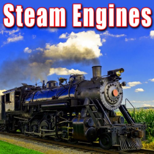 Steam Engine Model with Mesmerizing Rhythm