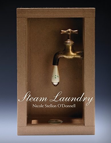 Steam Laundry: A Novel in Poems and Letters