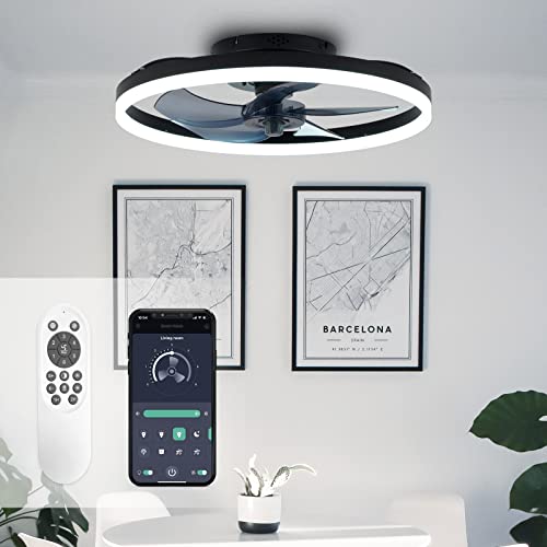 STERREN Modern Low Profile Ceiling Fan with Light