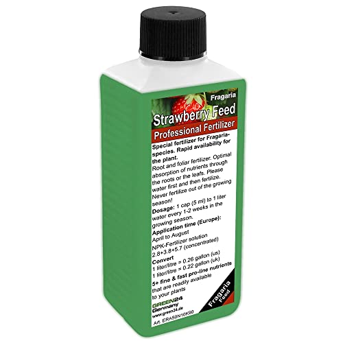 Strawberry Liquid Fertilizer - Enhance Growth and Productivity