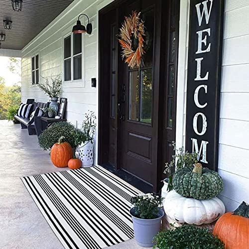 Striped Outdoor Rug Front Porch