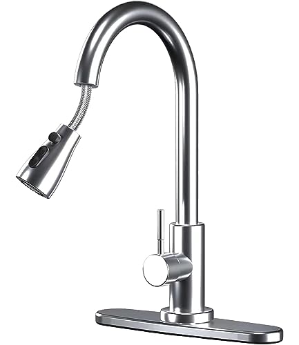 Stylish and Efficient Kitchen Faucet