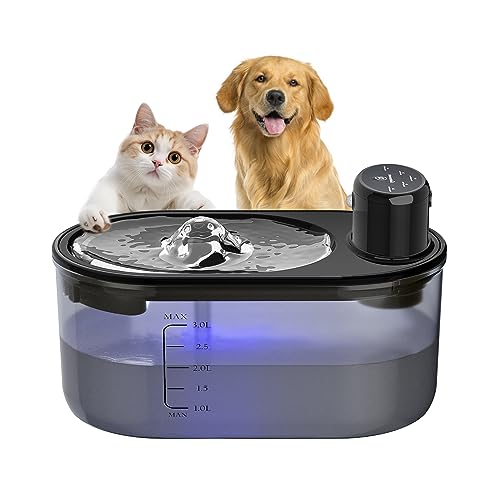 subteenmate Cat Water Fountain