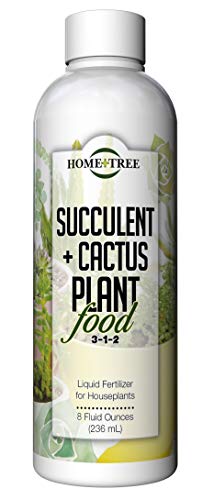 Succulent and Cactus Fertilizer by Home + Tree - Every Bottle Sold Plants A Tree
