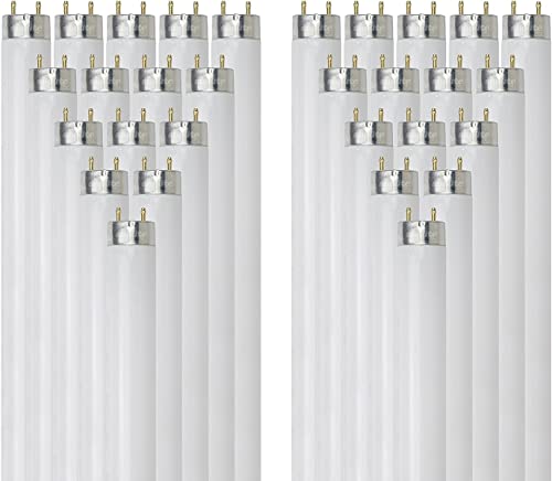 Sunlite 30195 T8 Linear Fluorescent Lamp