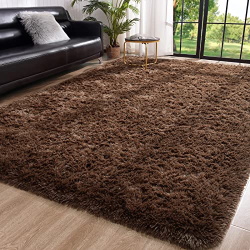 Super Soft Modern Indoor Rug Fuzzy Plush Carpet