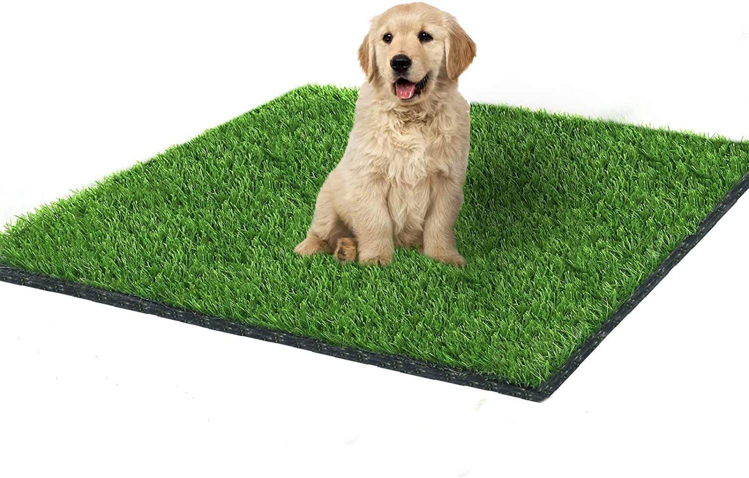 Synthetic Pet Grass: How Costly Is It?