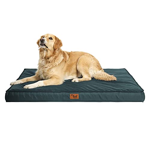 Tail Stories Outdoor Dog Bed