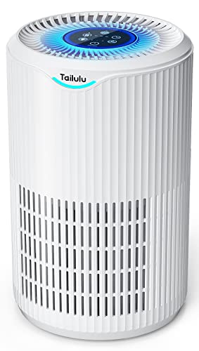 Tailulu H13 True HEPA Air Purifier