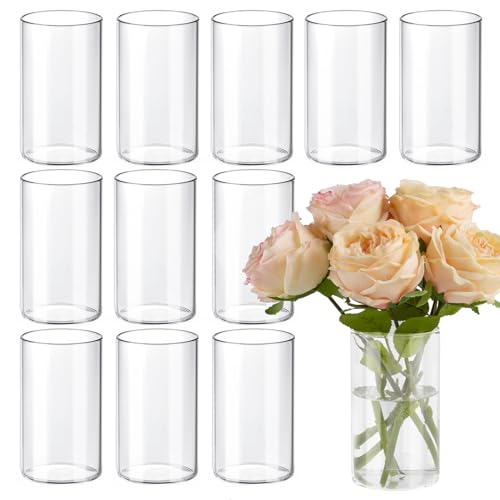 TBWIND Glass Cylinder Vases for Centerpieces and Home Decor