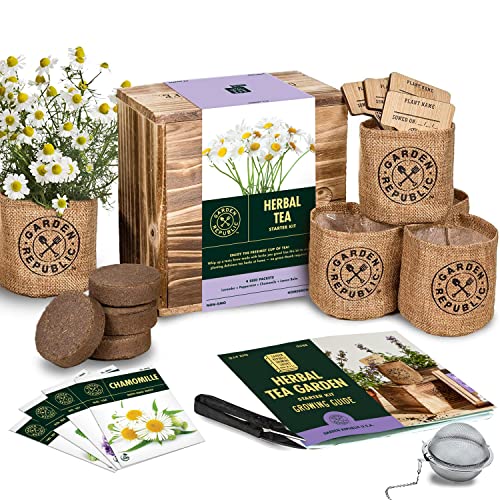 Tea Garden Seed Starter Kit