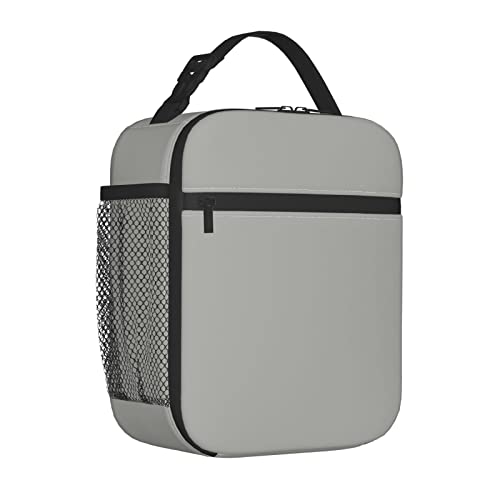 TEIKKIOP Gray Lunch Box Insulated Lunch Bag