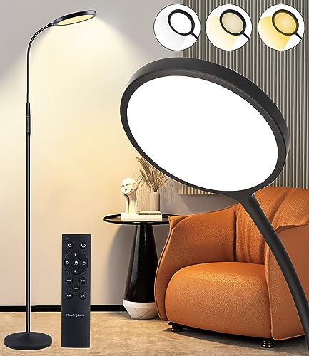Tenmiro LED Floor Lamp for Living Room