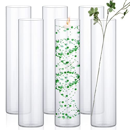 Tessco 6 Pack Glass Cylinder Vases