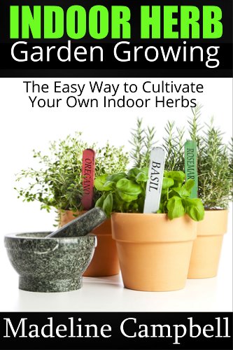 The Easy Way to Cultivate Your Own Indoor Herbs
