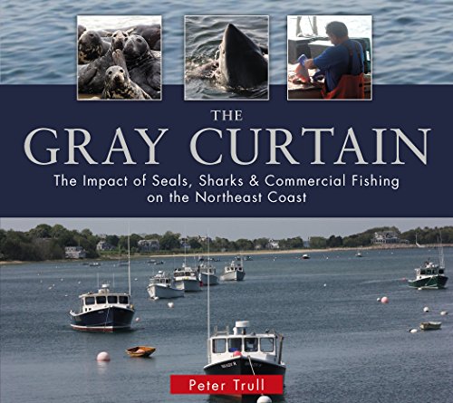 The Gray Curtain: Impact of Seals, Sharks & Commercial Fishing