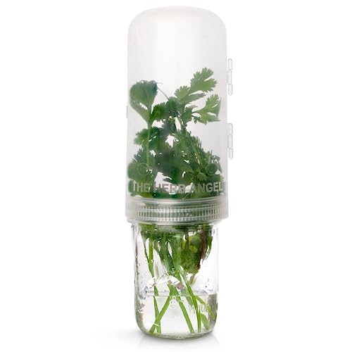 The Herb Angel - Fridge Herb Container