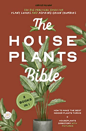 The Houseplants Bible For Beginners