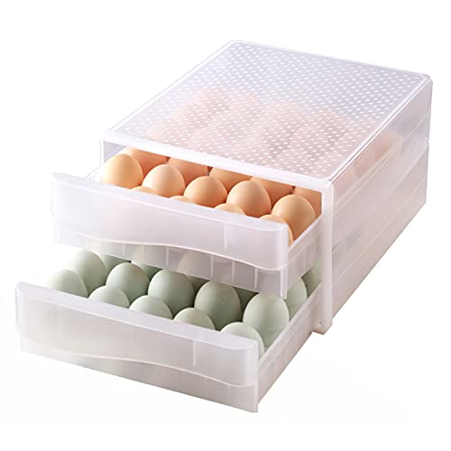 THIPOTEN Egg Holder for Refrigerator