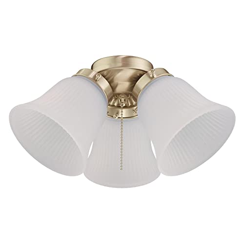 Three-Light Led Cluster Ceiling Fan Light Kit