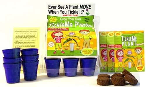 TickleMe Plant Greenhouse Garden Kit - Grow a Unique House Plant That Reacts to Touch