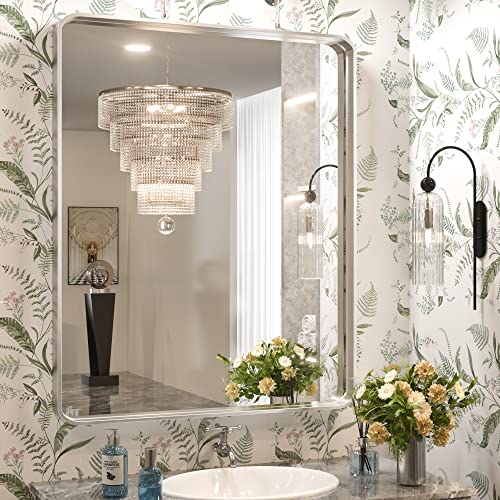 TokeShimi Brushed Silver Bathroom Mirror