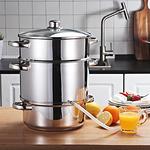 The Best Steam Juicer Buying Guide for YOU! 2024