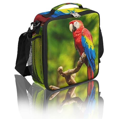 Tropical Bird Parrot Kids Lunch Box