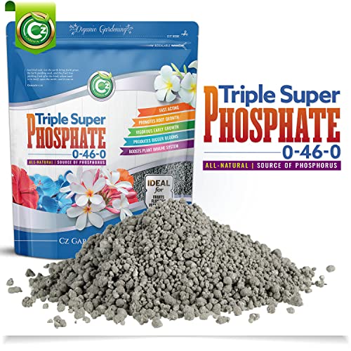 TSP Pure Phosphorus Fertilizer