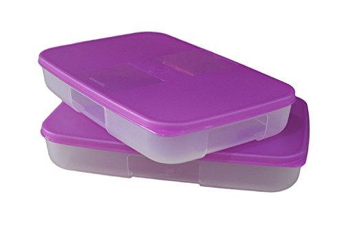 Tupperware Freezer Mate Container Set (650Ml)