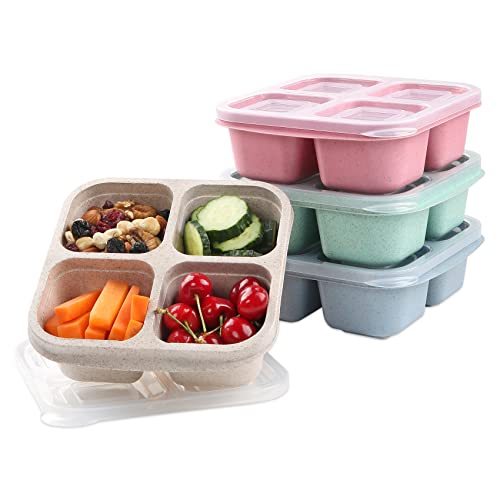 Youngever 7 Sets Meal Prep Containers, Reusable 3 Compartment Plastic  Divided Food Storage Container Boxes