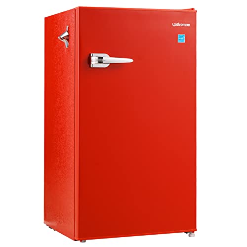 12 Amazing Compact Refrigerator Without Freezer for 2024