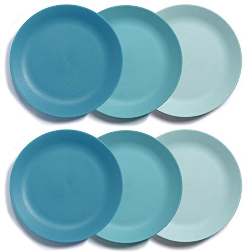 Everest Ultra-Durable 10" Dinner Plates, Set of 6, BPA-Free, Made in USA