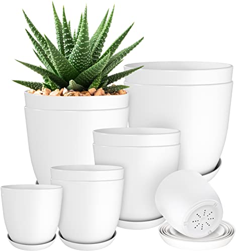 Utopia Home 10-Pack White Indoor Plant Pots with Drainage