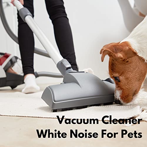 Vacuum Cleaner for Pets (Looopable - No Fade)
