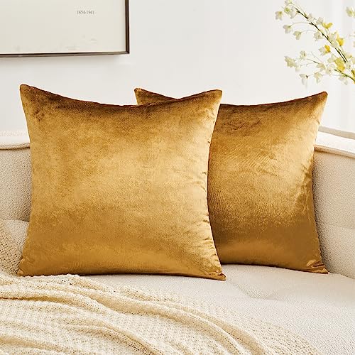 Velvet Soft Decorative Throw Pillow Covers