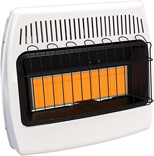 Versatile and Efficient Natural Gas/Propane Wall Heater