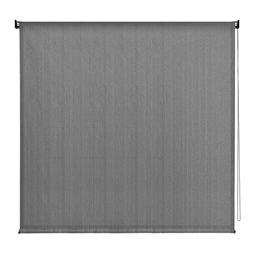 VICLLAX Outdoor Roller Shade, Patio Blinds Roll Up Shade (8' W X 8' L), Grey