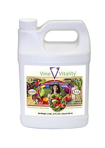 Vine Vitality All Purpose Fish & Kelp Liquid Fertilizer Concentrate, 32oz.