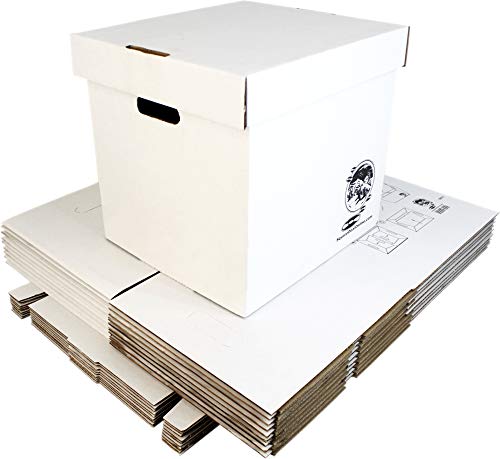 Vinyl Record Storage Box - Set of 10 Boxes