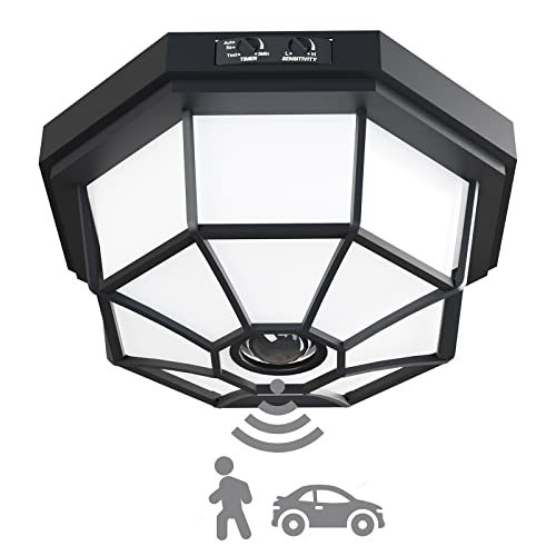 Outdoor Motion Sensor Ceiling Light - Black Finish, Frosted Glass