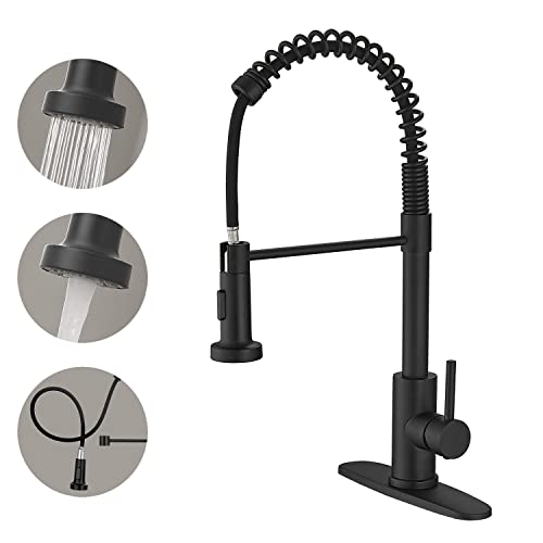 VOTON Kitchen Faucets with Pull Out Sprayer